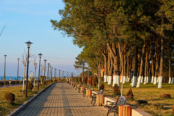 istock Empty Coastal Promenade with Benches, Streetlights, and Pine Trees 2252886251