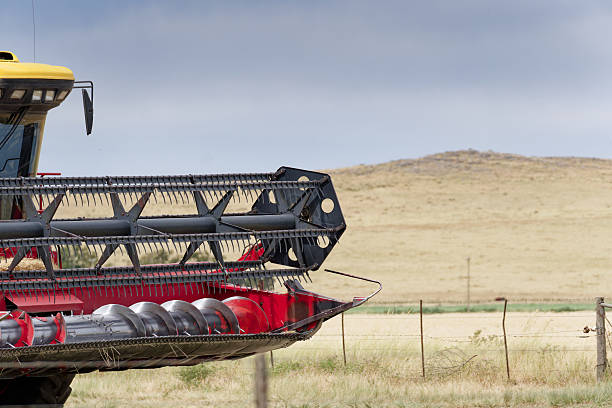 Modern combine harvester head collecting crops on a rural farm during harvest season