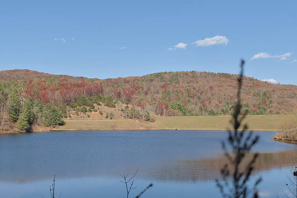 istock Mountains with red leafed and bare trees over a man made lake with grass head silhouettes as foreground 2252891690