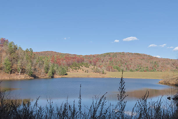 istock Mountains with red leafed and bare trees over a man made lake with grass silhouettes as foreground 2252891940
