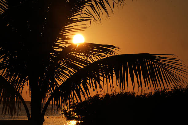 Sunset in the Florida Key with Boats, Docks and iconic sunsets.