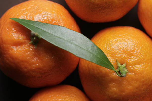 Clementine close up studio shot over