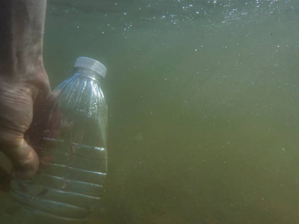 A hand is submerged beneath the surface of the water, grasping a clear plastic bottle that drifts among sand and debris. This highlights pollution in aquatic environments.