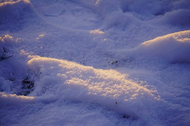 Sun shines on tracks in the snow