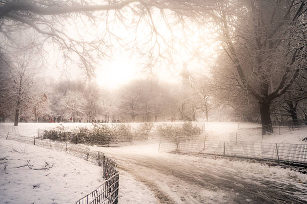 A scenic view of a pedestrian path winding through a park, completely blanketed in white snow with bare trees and a soft winter light