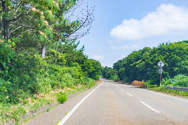 Japan Landscape