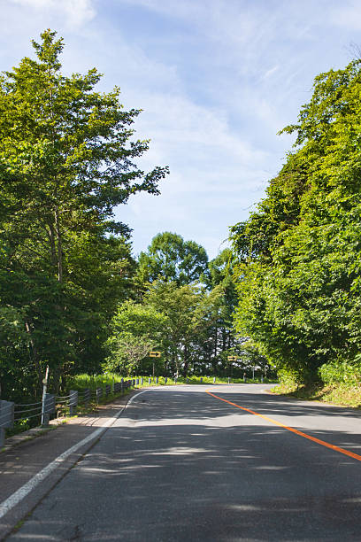 Japan Travel