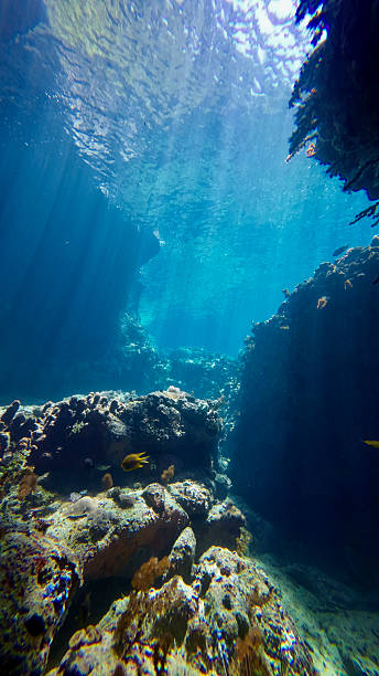 istock Underwater canyon with light rays in blue water. 2252912540