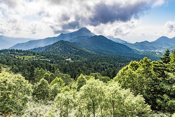 istock Lush Forested Mountains Beneath a Dramatic Sky, Nagano, Japan 2252912543