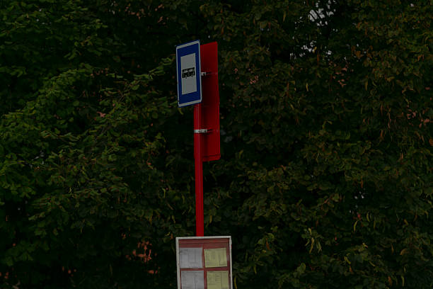 Bus stop signage with urban surroundings, Public transportation sign nestled among trees in city scene, Contemporary bus timetable on pole amidst city trees and busy sidewalk environment
