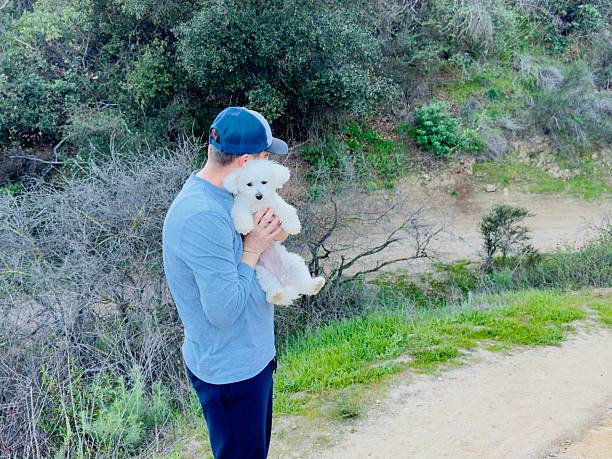 On the weekend a male person is hiking near Weir Canyon Nature Preserve with a little female dog  (domestic animal) Maltipoo beige color, until the sunset. Beautiful view of orange color on the sky. Enjoying time with puppy and the beauty of sunset on a nice warm weather. December 2025.