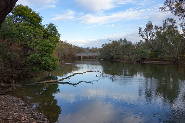 istock A tranquil river scene featuring a prominent fallen branch, reflecting a serene sky, with a distant bridge nestled among lush green riverbanks. 2252920851