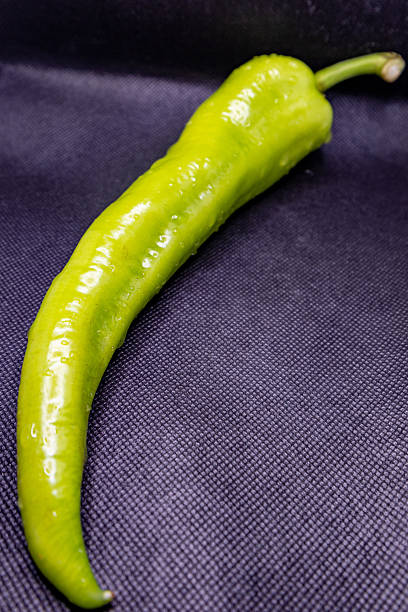 Green paprika, fresh vegetable with black background