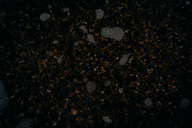 foam on the surface of the dark water