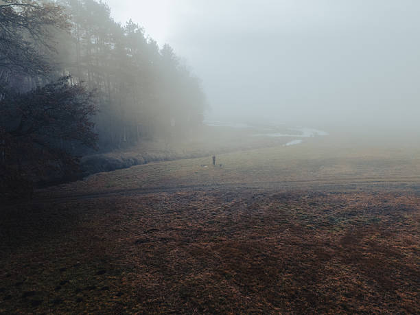 Bird's-eye perspective shows a misty morning over dense forest and a brown field, with wisps of fog drifting between trees. A tranquil, natural scene highlighting atmosphere and terrain.