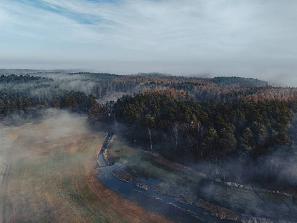 Bird's-eye perspective shows a misty morning over dense forest and a brown field, with wisps of fog drifting between trees. A tranquil, natural scene highlighting atmosphere and terrain.