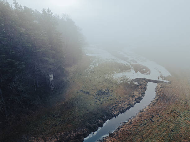 Fog on the river.