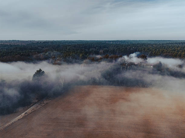 Bird's-eye perspective shows a misty morning over dense forest and a brown field, with wisps of fog drifting between trees. A tranquil, natural scene highlighting atmosphere and terrain.