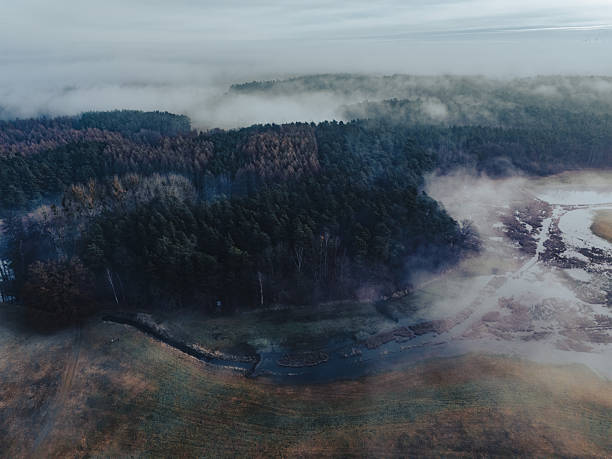Bird's-eye perspective shows a misty morning over dense forest and a brown field, with wisps of fog drifting between trees. A tranquil, natural scene highlighting atmosphere and terrain.