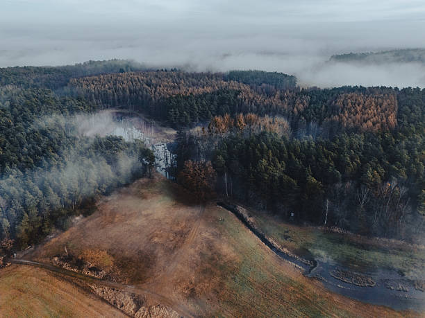 Bird's-eye perspective shows a misty morning over dense forest and a brown field, with wisps of fog drifting between trees. A tranquil, natural scene highlighting atmosphere and terrain.