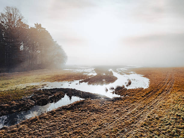 A serene morning scene with a misty field, a narrow waterway winding through frost, and a line of trees on the left. Soft sunlight breaks through fog, creating a tranquil mood.