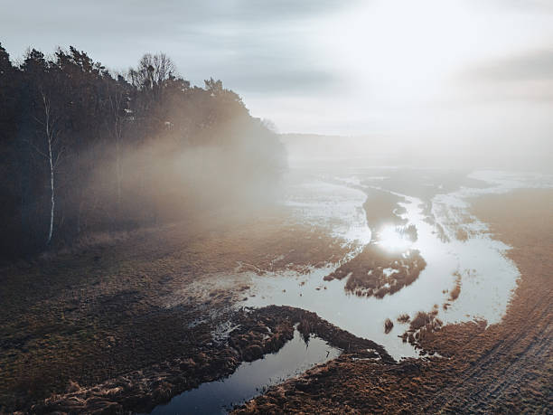 A natural landscape with a lake, tall grass, and trees lining the bank under a cloudy sky on a foggy morning.