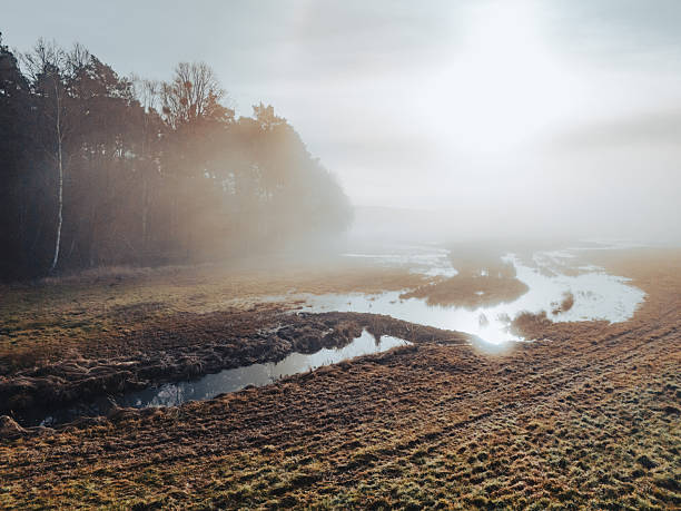 A serene morning scene with a misty field, a narrow waterway winding through frost, and a line of trees on the left. Soft sunlight breaks through fog, creating a tranquil mood.