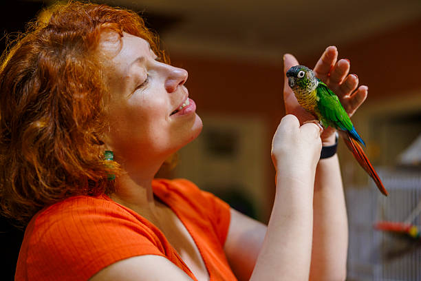 istock Affectionate bond between a person and their small parrot. Domestic lifestyle with an exotic pet. 2252924718