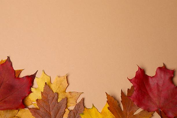 istock Autumn composition with leaves, natural background 2252926325