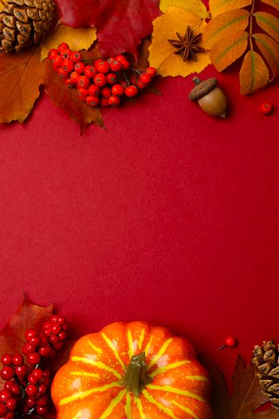 istock Autumn scene featuring colorful leaves, berries and pumpkin 2252926347