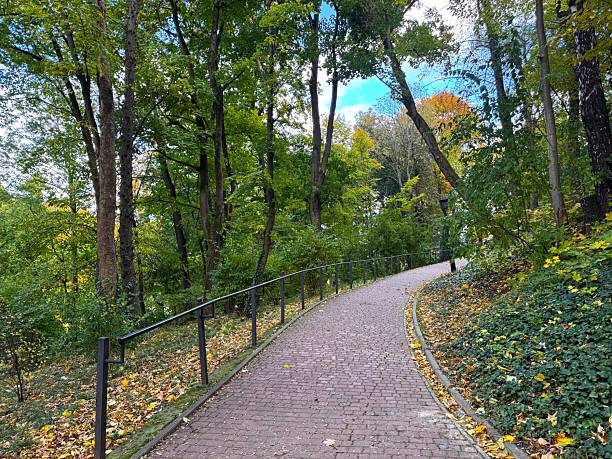 istock Autumn park with fallen leaves 2252926617