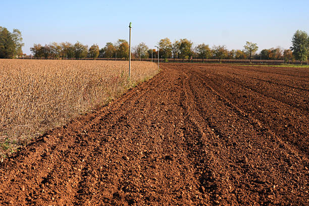 Plowed  field near cut soybean field on winter in the italian countryside