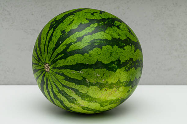 A real round small green whole watermelon