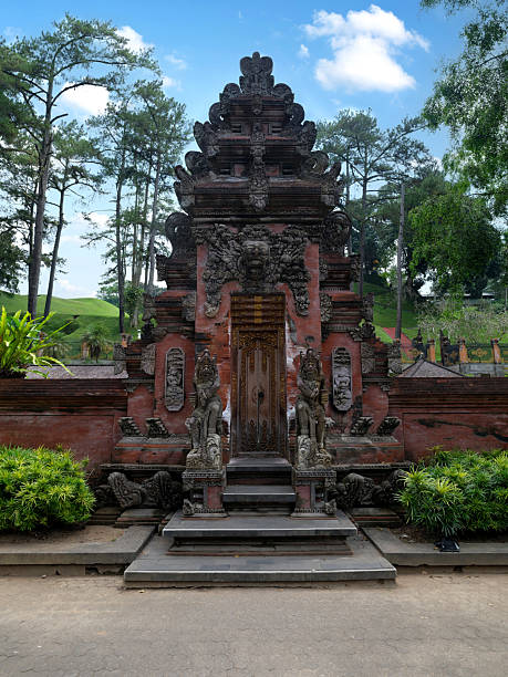 istock Scenery of Ubud in Indonesia 2252931945