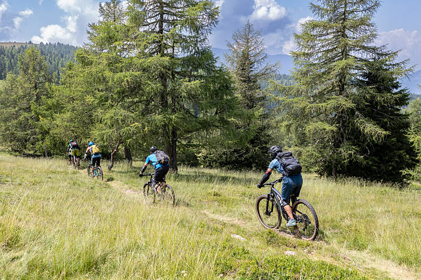 istock Group of mountain biker entering the forest. 2252933658