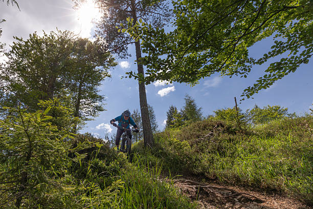 istock Mountain biker entering forest area, Italy. 2252933762