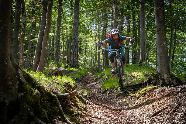 An experienced and well equipped male mountainbiker is riding down a footpath in a forest area near the village of Tarvisio, Italy.