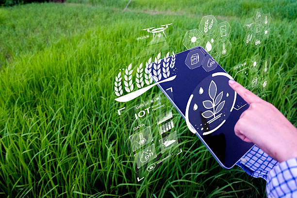 istock Smart Farming IOT and Agricultural Technology Concept. 2252936303