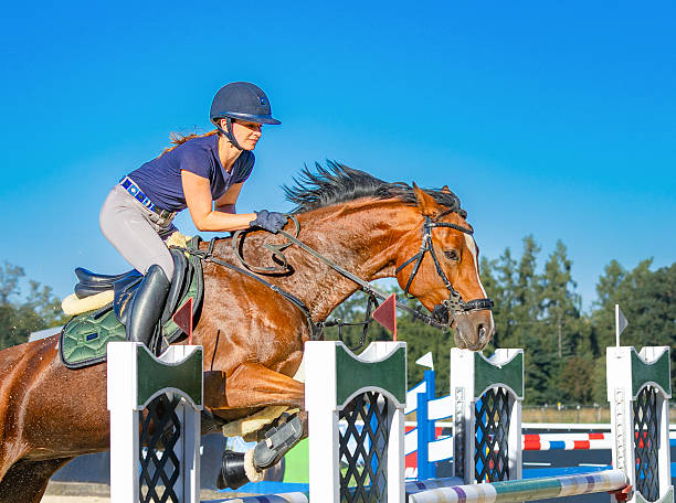 australia melbourne  equestrian demostration