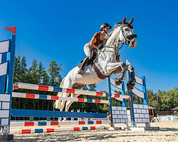 istock Young lady on gray horse. 2252936564