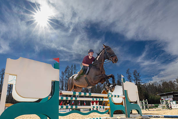 istock Equestrian show jumping in sunshine. 2252936600
