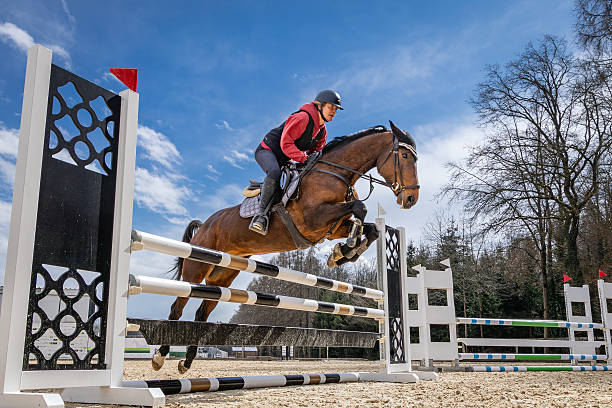 istock Equestrian show jumping with brown mare. 2252936687