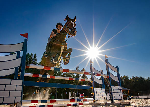 An experienced young female show jumper is crossing the hurdle on a sunny day with blazing sun.Canon EOS 760D, 1/1250, f/22, 14 mm.