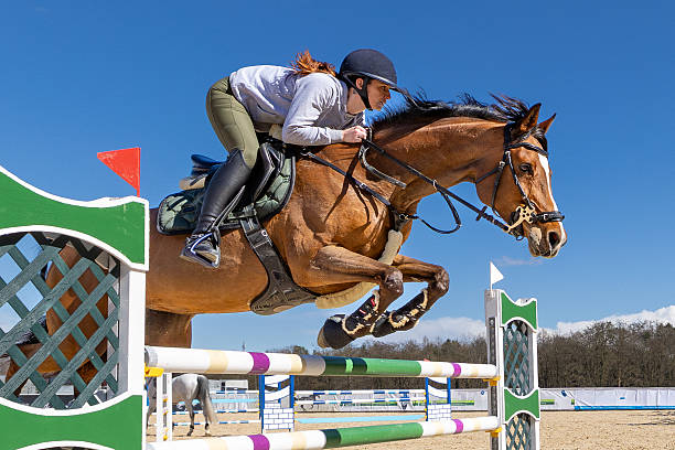 istock Show jumper is ready to race. 2252936757
