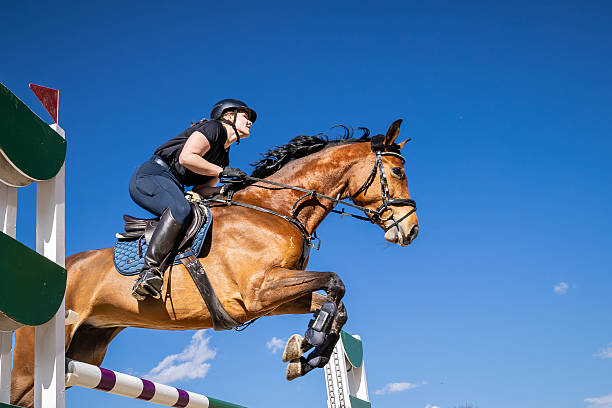 istock Elegancy of show jumping. 2252936787