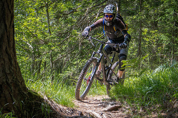 istock Sunny forest downhill with mountain bike. 2252938285