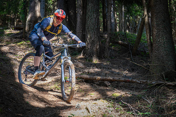 istock Scenic mountain bike downhill in forest. 2252938315