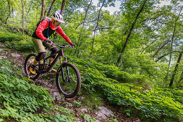istock Mountain bike downhill in green forest. 2252938680