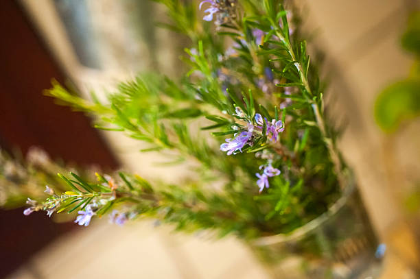 istock Fresh Rosemary Sprigs Texture Asset 2252939853