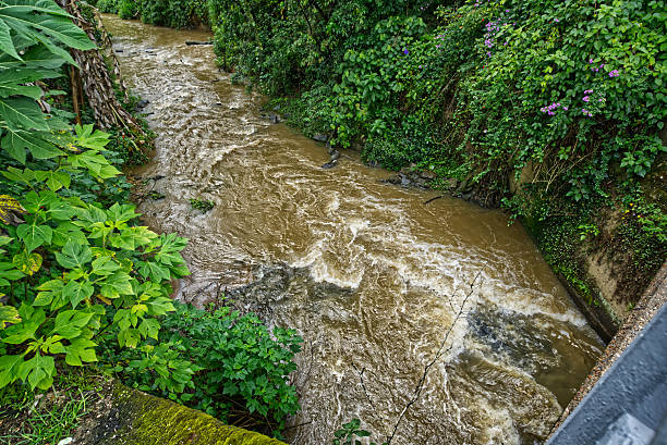 istock Testo River in the small town of Pomerode 2252940678
